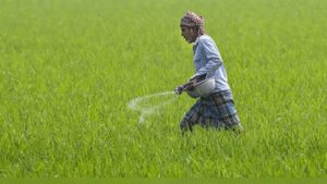 Scheme to reduce chemical fertiliser use remains a ‘non-starter’; no incentives released to states yet | India News