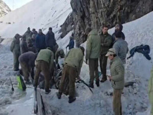 7 killed as avalanche buries several vehicles at Zojila Pass | India News