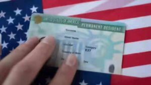 Green Card Ban: $1 billion fraud by US govt: Immigration expert calls Green Card ban a silent scam; no denial, no refund