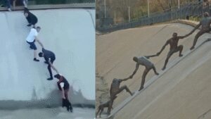 Watch: Strangers, a dog, and a moment the world chose to remember