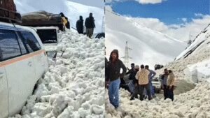 Avalanches at Zoji La pass: 7 killed, 5 injured in Ladakh; Srinagar-Leh highway blocked | India News