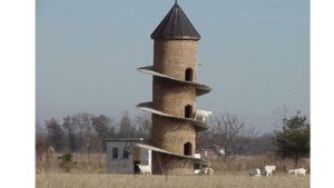 The GOAT tower: Why Illinois farmers built this 31-foot tower just for goats | World News