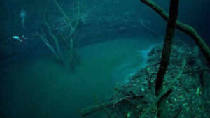 The ‘sixth largest river’ on Earth is hidden 115 feet beneath the Black Sea |