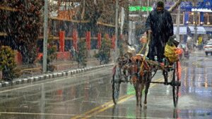 Srinagar Last Tonga: J&K: Last tonga in Srinagar rolls again, 70-year-old keeps past alive | India News