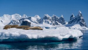 Antarctica’s “point of no return”: Scientists warn the meltdown may be unstoppable |
