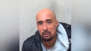 Mauled to death by XL bully dogs: UK rapper jailed for mother-in-law’s fatal death in canine attack | World News