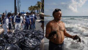 Pipeline leak near Pemex platform caused Gulf of Mexico oil spill that killed wildlife, polluted reserves: officials