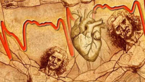 Leonardo Da Vinci drew this heart structure 500 years ago: Scientists may have just solved the mystery that may predict heart disease |