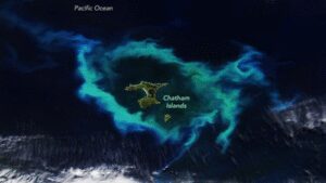 NASA satellite spots gleaming halo around New Zealand’s Chatham Islands |