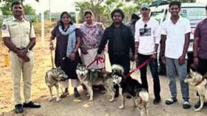 Abandoned husky found dead, 5 rescued, ‘30 missing’ | Hyderabad News