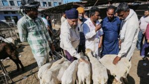 Delhi government monitors transportation, sale and sacrifice of animals ahead of Eid | India News