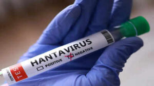 Hantavirus may’ve spread to remote island