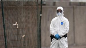 Hantavirus most contagious at onset of symptoms, WHO warns amid cruise ship outbreak