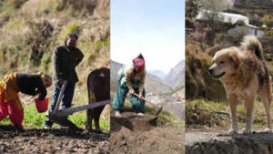 ‘Beauty alone cannot feed family’: Why Uttarakhand’s villages are falling silent | Dehradun News