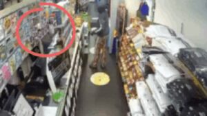 Woman Killed In Us Store Shooting: Gujarat woman shot dead in US store; chilling CCTV footage emerges | Ahmedabad News