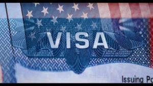 ‘You don’t need a salary’: Immigration attorney says many F-1 students don’t understand how OPT works