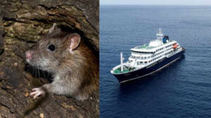 Hantavirus outbreak: WHO warns 12 countries after South Atlantic cruise ship confirmed cases; raising global travel health concerns |