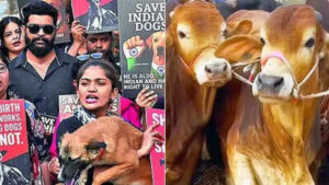 In a 1st, NCRB tracks cases of cruelty against animals: 10,312 arrested in 2024 | India News