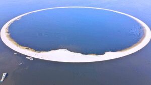 Protecting Life: Poland spent millions on an artificial island to protect rare birds and conserve wildlife | World News