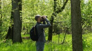 Crowdfunding helps Serbian birdwatchers save woodland
