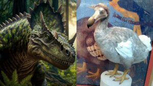 Why are humans obsessed with bringing back Dinosaurs: Exploring de-extinction |