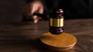 SC asks Tamil Nadu govt to act against, fine 118 babus for forest encroachments | India News