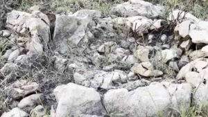 Miocene Epoch Fossils: 15-million-years old shark fossils discovered by Odisha teacher and students on a random field visit, locals called them ‘Asura Hadda’