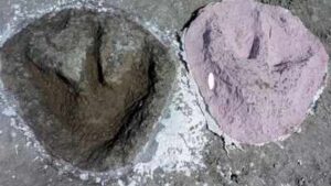 166-million-year-old Jurassic dinosaur highway discovered beneath a British quarry | World News