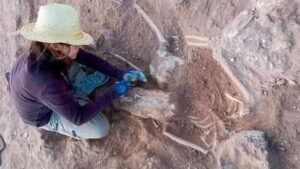 Archaeologists discover Roman soldier buried inside a 5,000-year-old Spanish fortress | World News