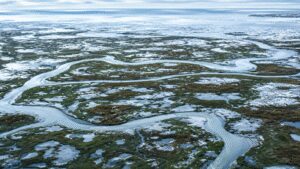 Arctic alarm: Earth’s frozen carbon stores in the Arctic may stop absorbing CO2 and start releasing it by the 2050s |