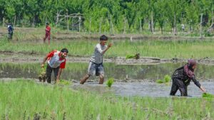 Government braces for a tough sowing season ahead | India News