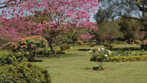 Canadian man settles in India with wife’s family: Cost of living way lower than Toronto, lost 14lbs in 5 months