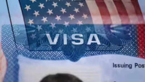 People get shocked when I tell them about OPT: Florida senator moves to end pathway to H-1B