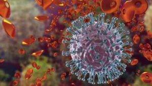 Flu kills 1.2 lakh/year in India, senior citizens bear the brunt | India News