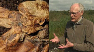 In 1984, workers at Lindow Moss found a human head and uncovered a mystery buried for nearly 2,000 years |