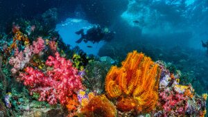 Melting icebergs create new deep-sea habitats 2,500 metres beneath the Arctic Ocean as rocks transform the seafloor |
