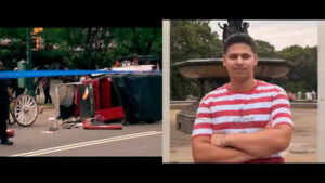 New York mayor Zohran Mamdani pushes to end horse carriage industry after Indian teen Romanch Mahajan’s death