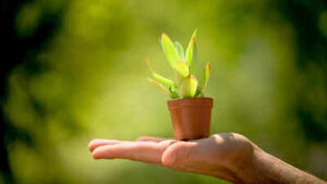 For how long will the Earth stay ‘green’? New scientific model finally has a definite answer |