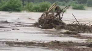 Railway bridge over Simen river partially collapses after heavy rain in Assam; train services suspended, villages cut off | Guwahati News
