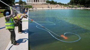 ‘250-ft gash, poured chemicals’: Donald Trump claims vandals damaged Reflecting Pool