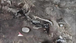 Pompeii Bakery: Two skeletons found inside a Pompeii bakery may be the key to an unsolved eruption mystery hidden beneath for nearly 2,000 years | World News
