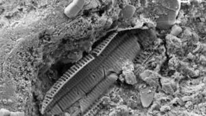 What lies beneath Omaha Beach: Microscopic WWII shrapnel found in sand reveals the land still carries the memory of war | World News