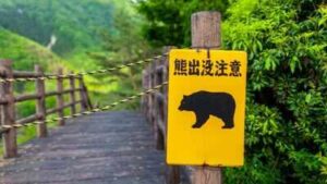 A Japan mountain trail reopened after a fatal bear attack. Hours later, another brown bear stranded four hikers