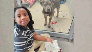 An 11-year-old boy is bringing storytime to shelter animals, reading to dogs and cats so they feel calmer while waiting for forever homes