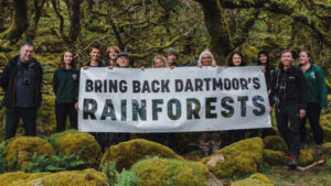 Duchy: Prince William’s Duchy of Cornwall is helping double one of England’s last surviving temperate rainforests, where 1,250 young trees have already been planted