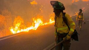 ‘Intense, highly unpredictable’: Over 200,000 evacuated as massive wildfires engulf Spain, France
