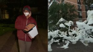 Australia’s mysterious ‘Birdman’ has spent two years feeding birds in the middle of the night, leaving the neighbourhood plagued by a daily ‘poo explosion’ | World News