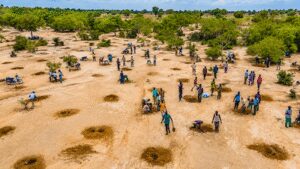 After decades of drought, water is returning to the south of the Sahara Desert as ancient farming techniques and the Great Green Wall breathe new life into the Sahel |
