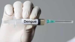Dengue Vaccine Rollout: Ahead of dengue vaccine rollout, all 4 strains found in circulation | India News