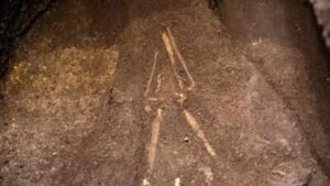 El Salvador archaeologists lifted a burial sealed beneath 2,800-year-old volcanic ash; the person lay face down with a sea turtle-shaped vessel near one hand |